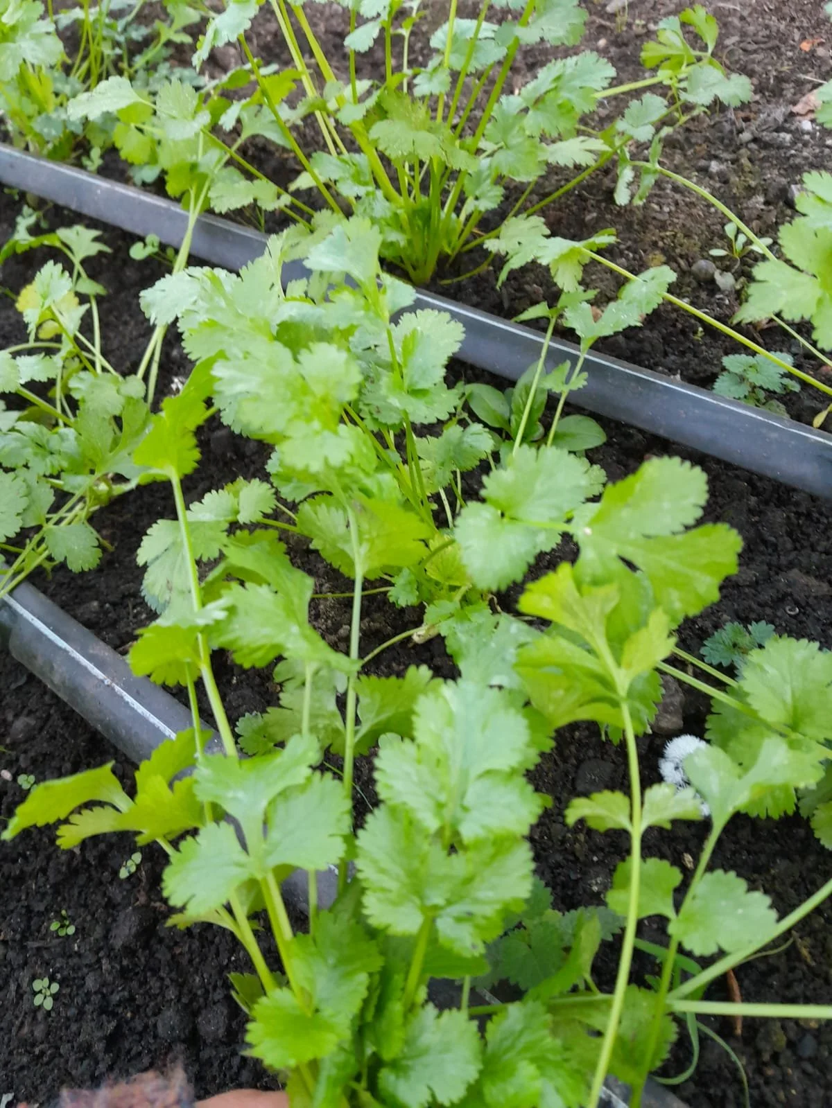 WhatsApp Image 2025-11-15 at 10.01.22 (7).jpeg