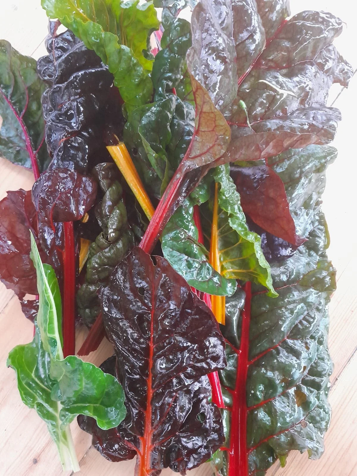 WhatsApp Image 2025-11-15 at 10.01.13.jpeg