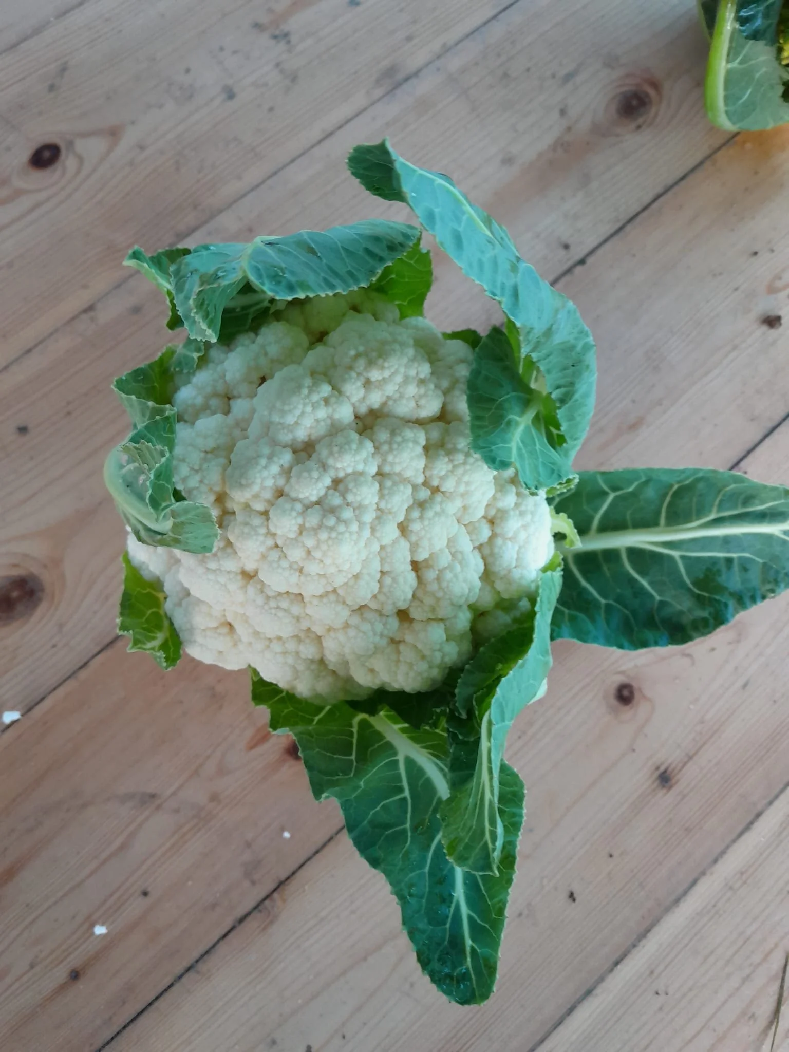 WhatsApp Image 2025-11-15 at 10.01.23 (6).jpeg