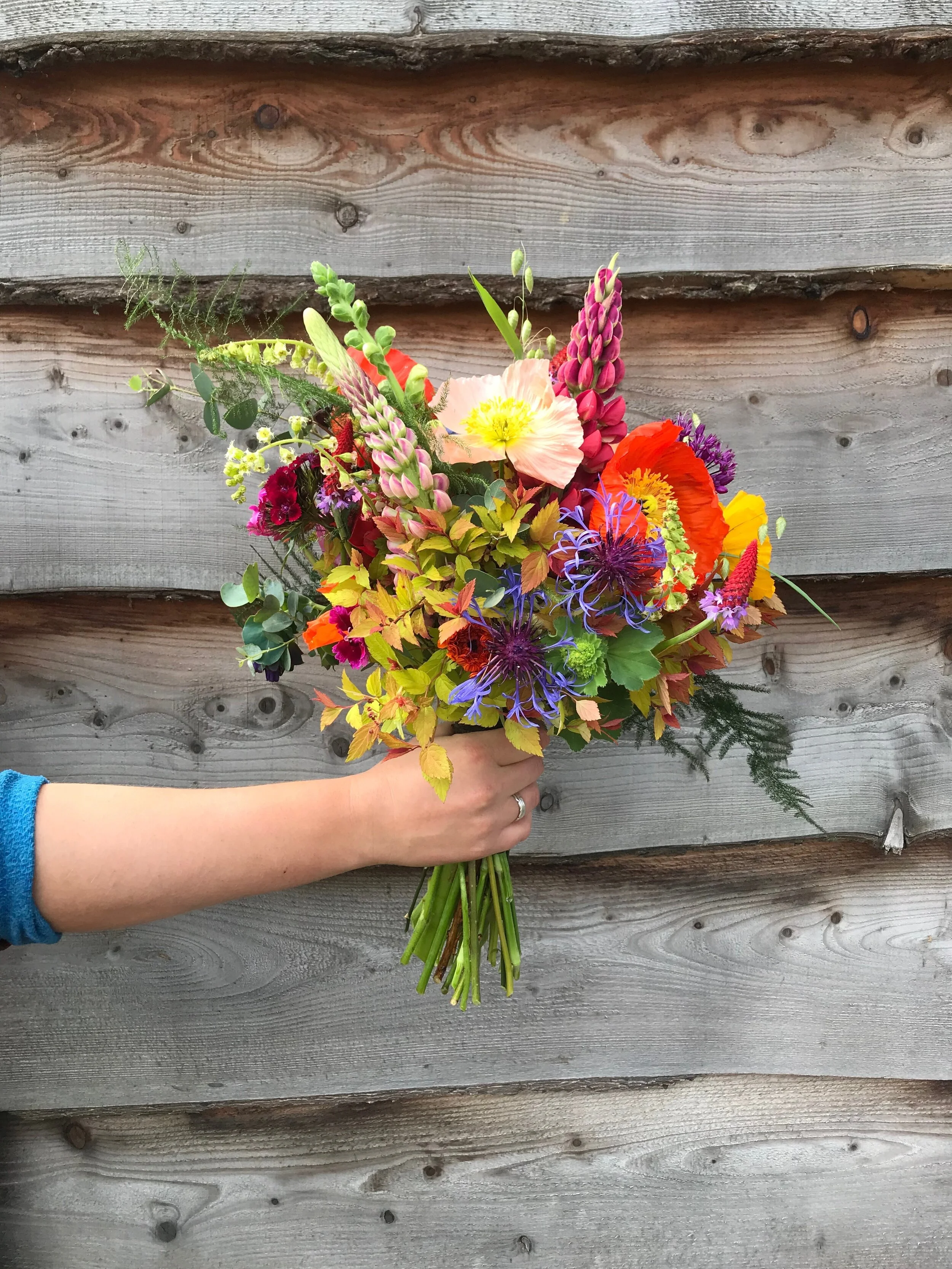 Tomnah'a
Lupin (feature) bouquet