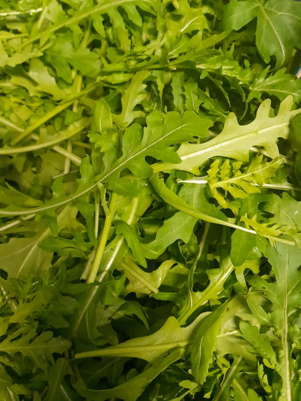 WhatsApp Image 2025-11-15 at 10.01.12.jpeg