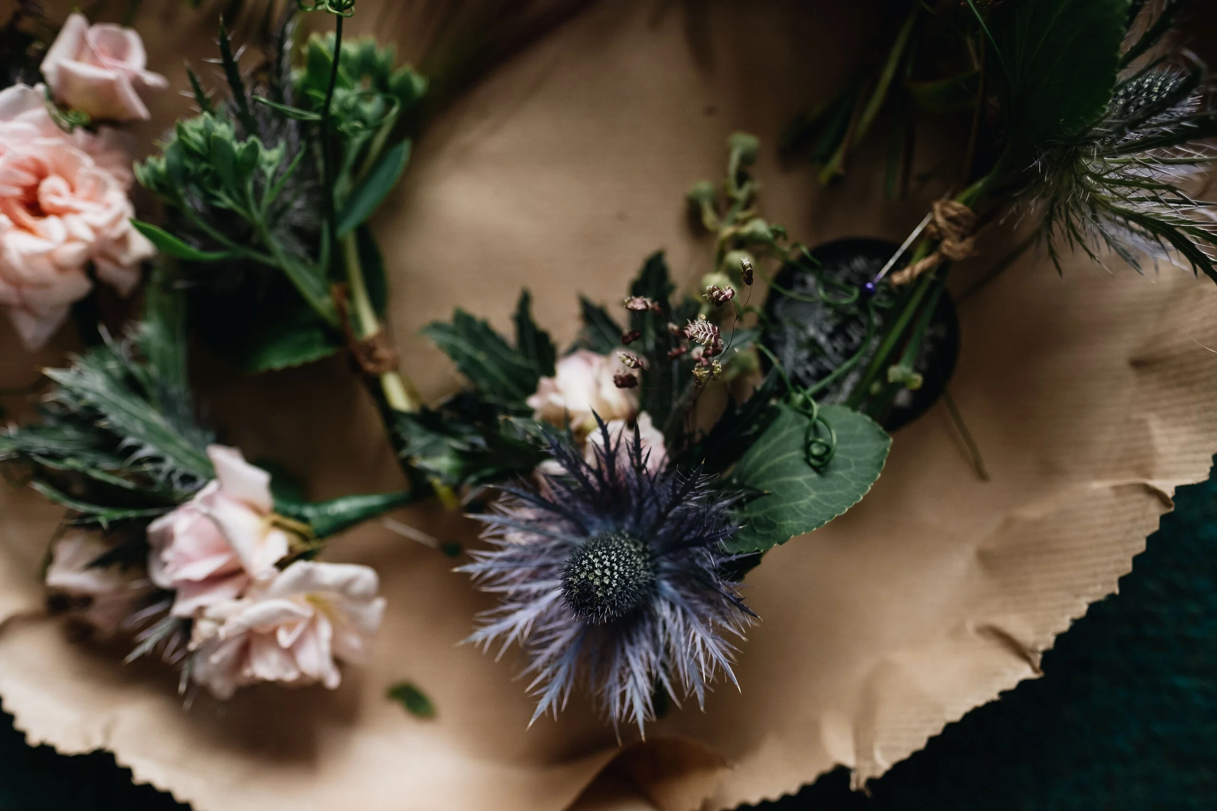 Harper Scott Photography