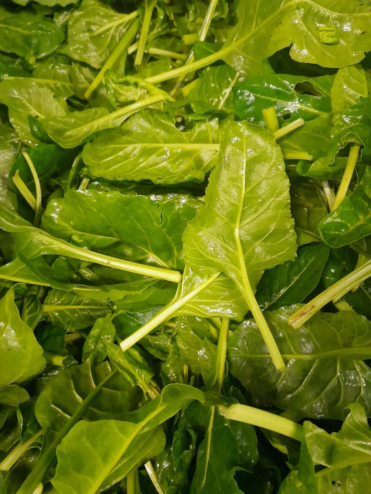 WhatsApp Image 2025-11-15 at 10.01.11.jpeg