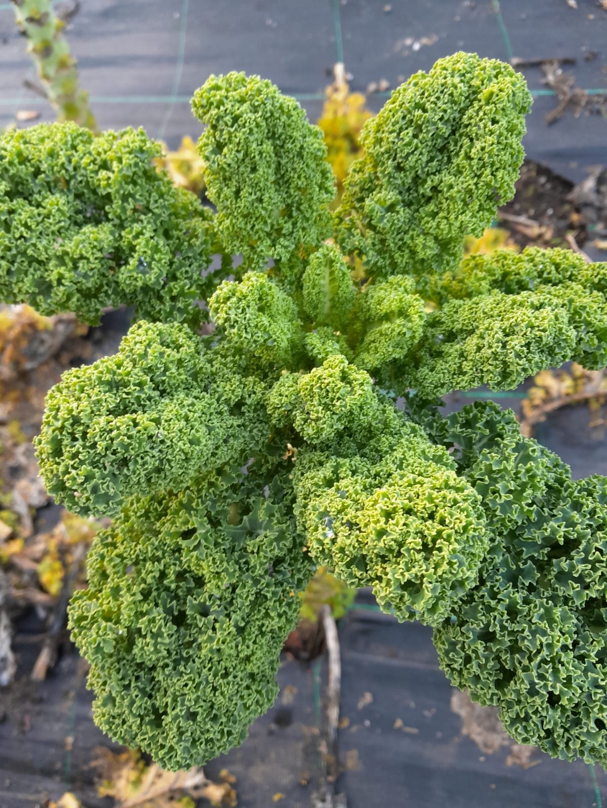 WhatsApp Image 2025-11-15 at 10.01.22 (6).jpeg