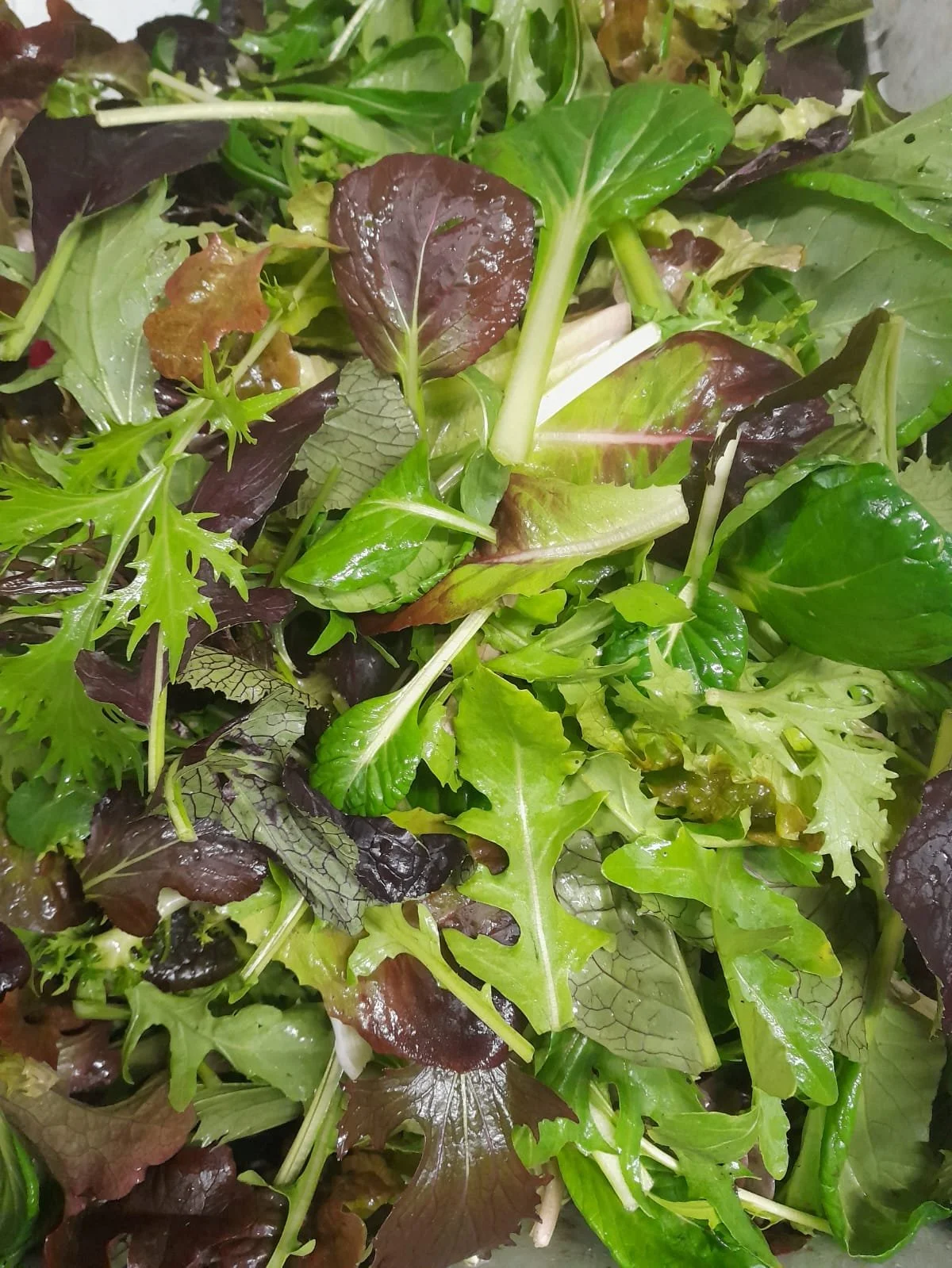 WhatsApp Image 2025-11-15 at 10.01.11 (1).jpeg