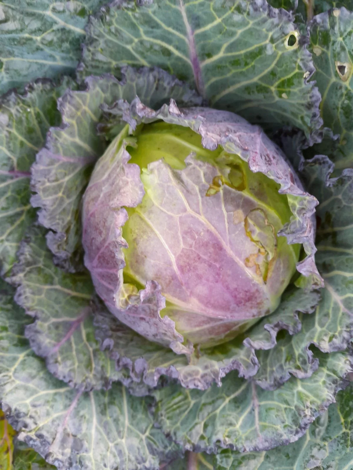 WhatsApp Image 2025-11-15 at 10.01.22 (4).jpeg