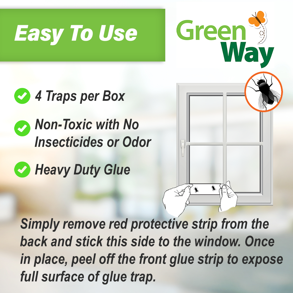 B&G Disposable Window Fly Trap (DWT-2000) (14001081)