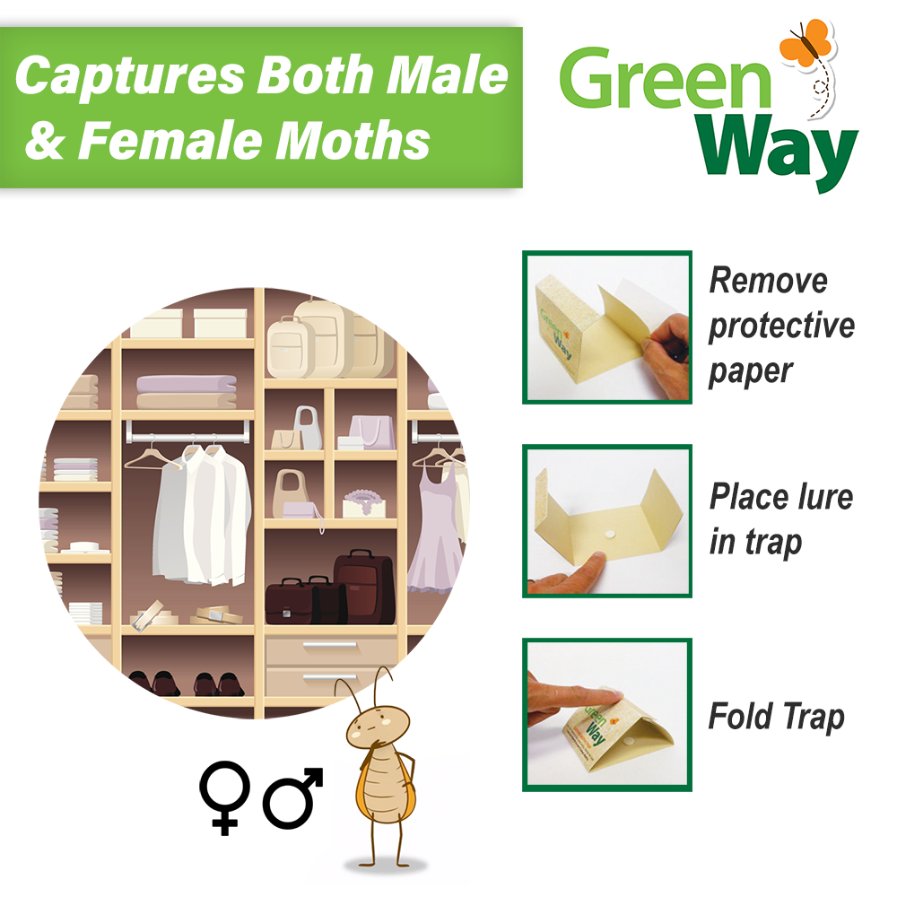 Greenway Clothes Moth Trap, Adult Unisex, Size: 1 Pack, Clear