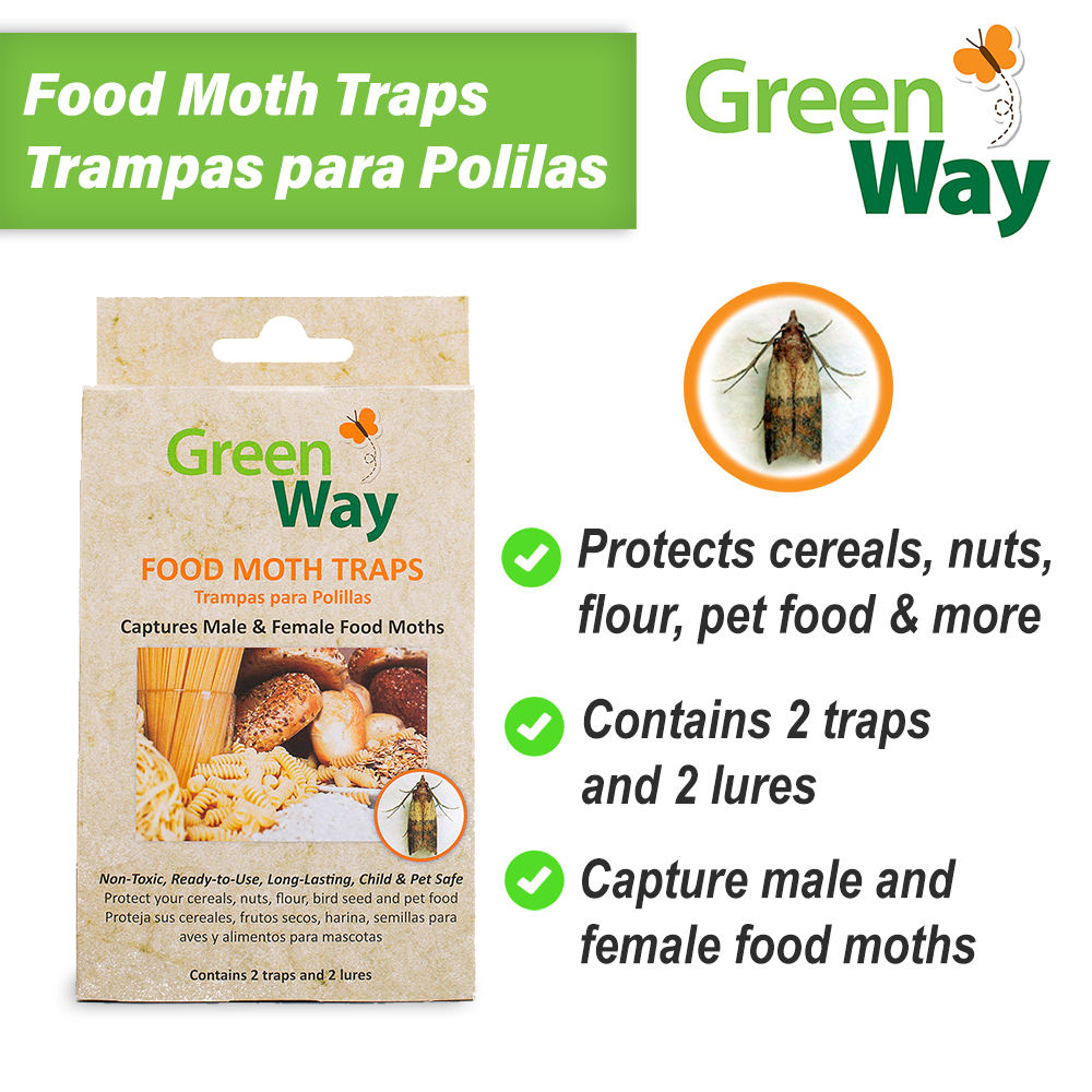 GreenWay Clothes Moth Traps