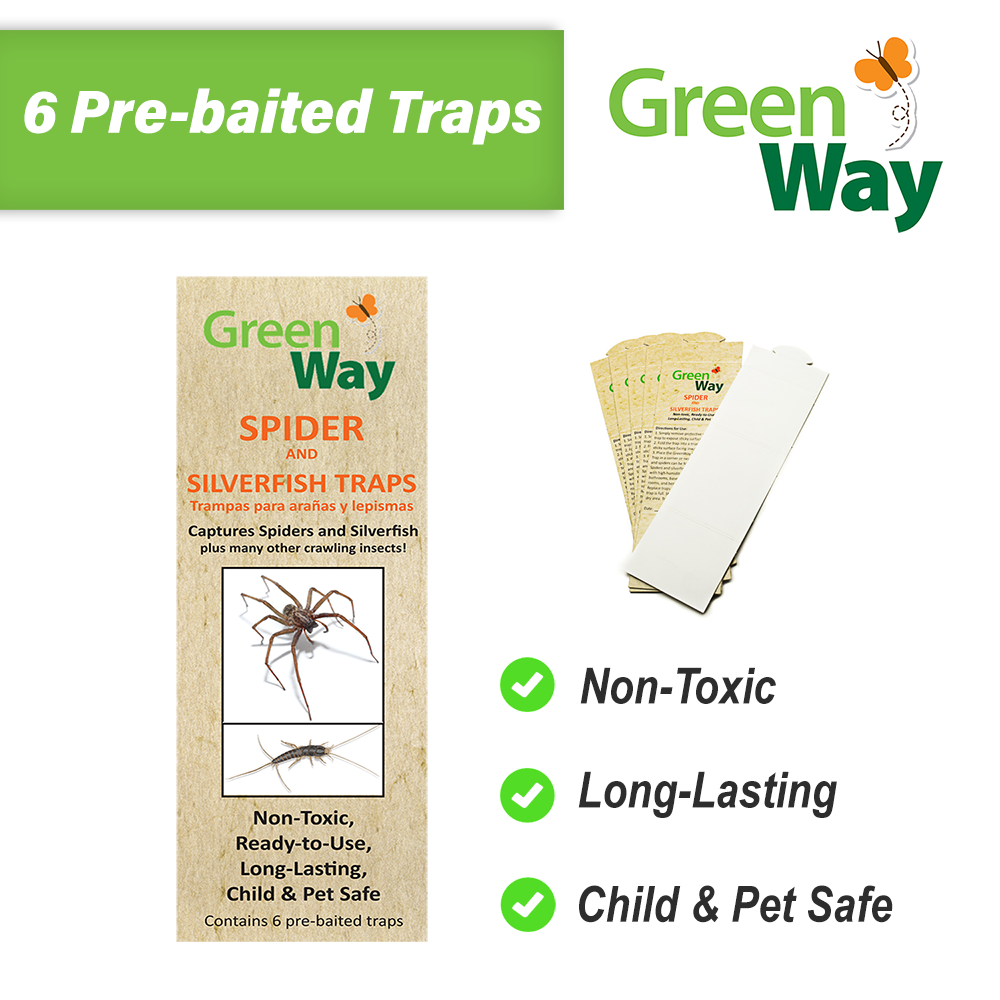 Shop Non-Toxic Insect Traps — GreenWay