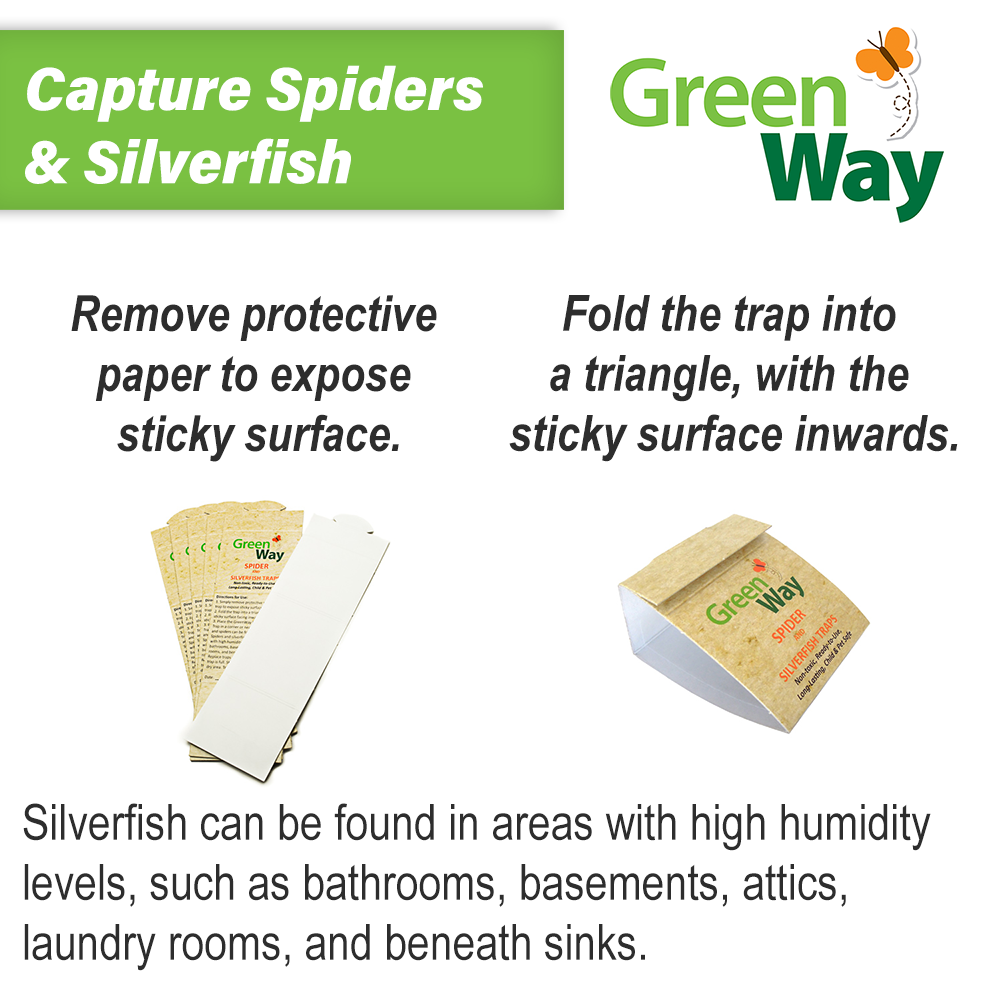 Spider Silverfish Trap — GreenWay