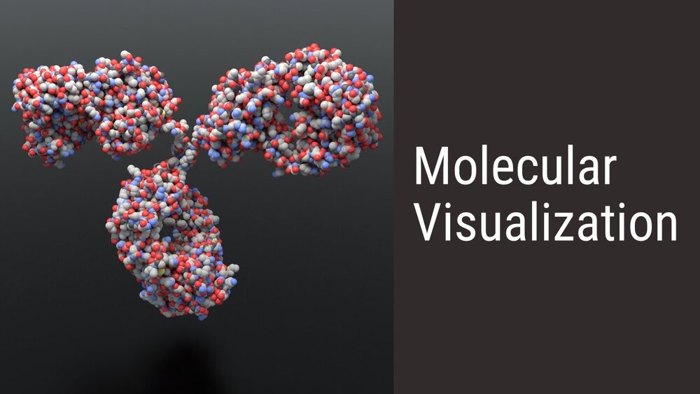 Animation — Learn Medical Art Animation — Learn Medical Art
