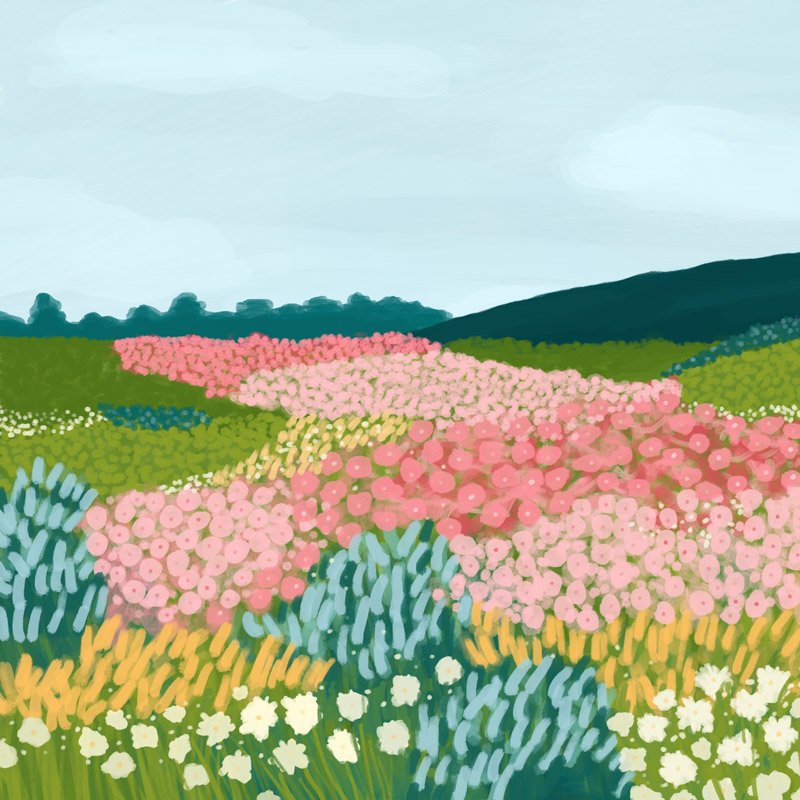 web-wildflowers.jpg