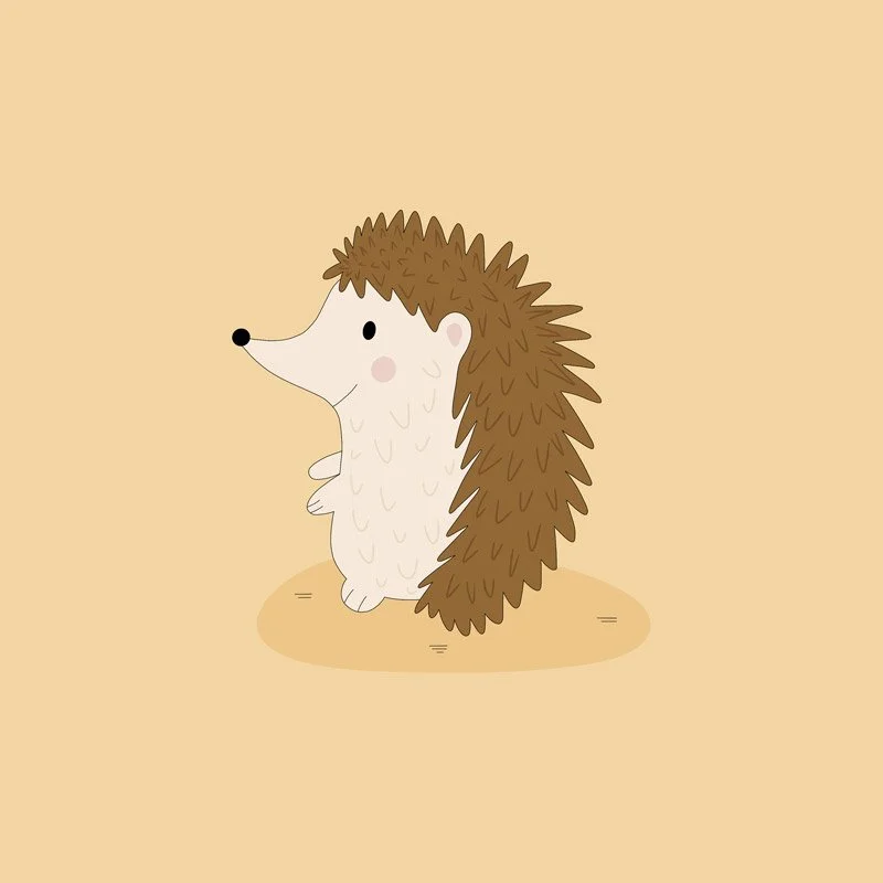 web-hedgehog.jpg
