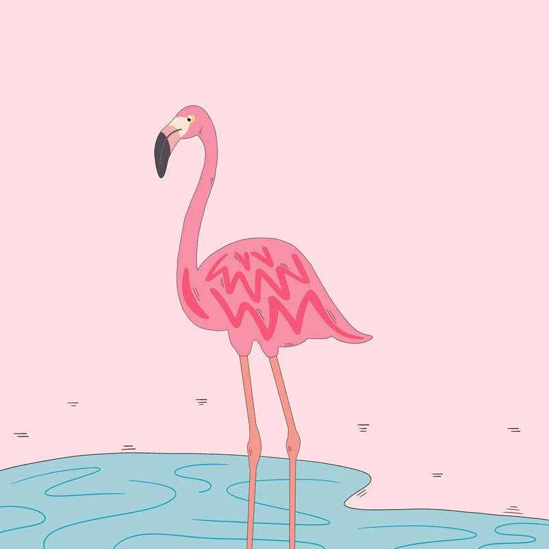 web-flamingo.jpg
