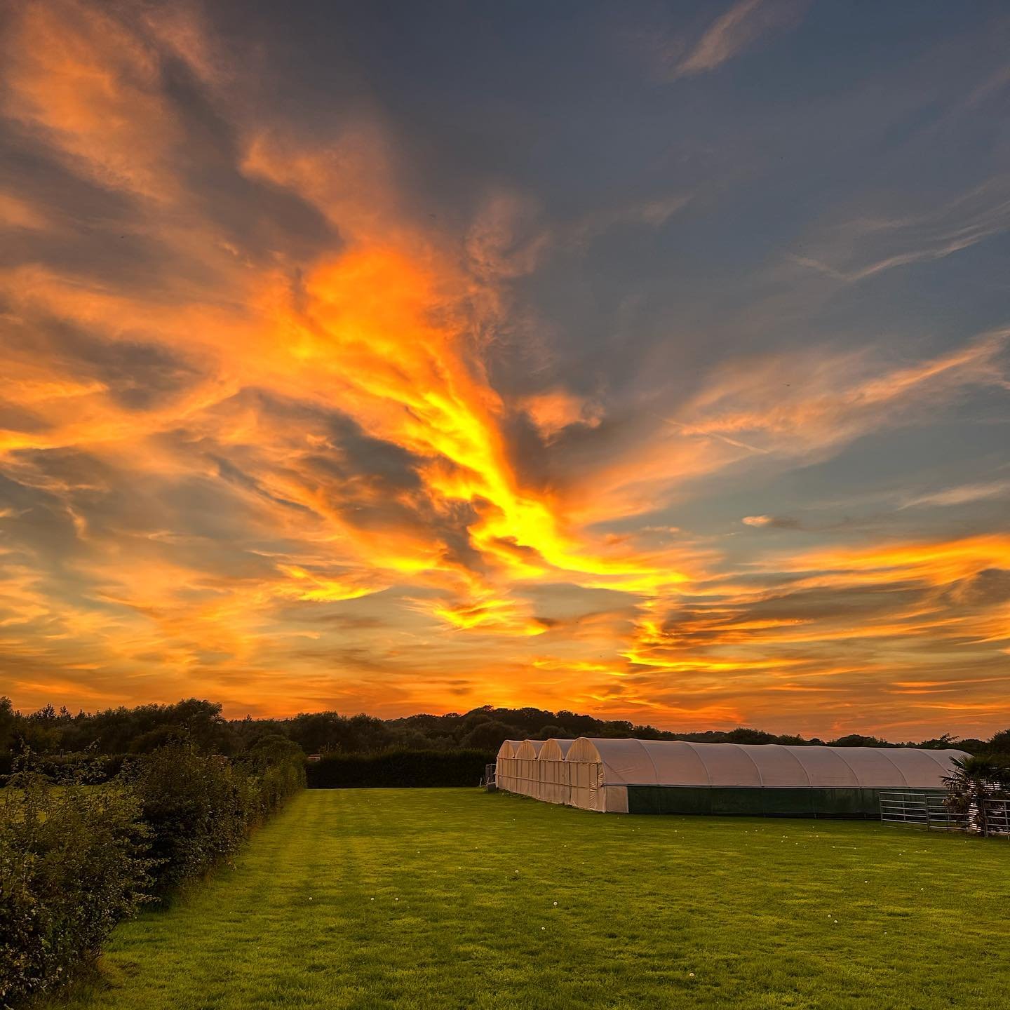 A stunning summer sunset that I think everyone took pictures of and posted on social media a week or so ago! 😂