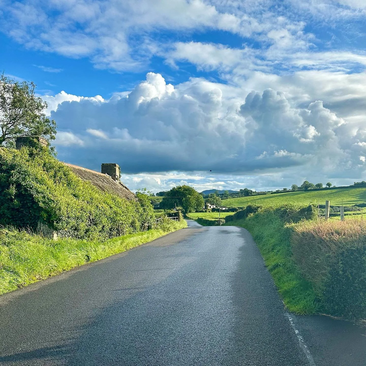 After getting the bus from Hillsborough, to a stop even the bus driver hadn&rsquo;t heard of, I dragged my little suitcase through the countryside to get to the airbnb. The countryside is stunning around here 😍 such a beautiful part of the world. I 
