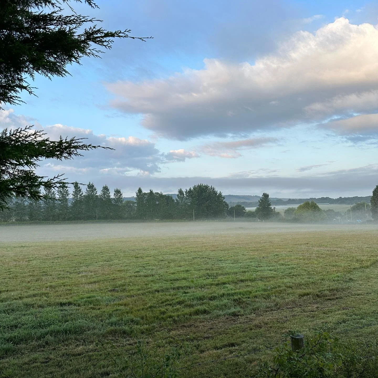 Misty morning, sunny evening and dreamy sunsets. I&rsquo;m going to miss summer, the mornings are already getting darker 😩