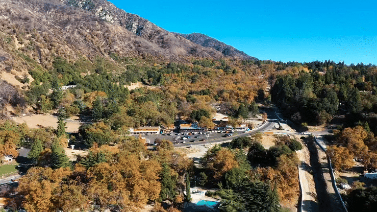 Oak Tree Mountain-high.gif