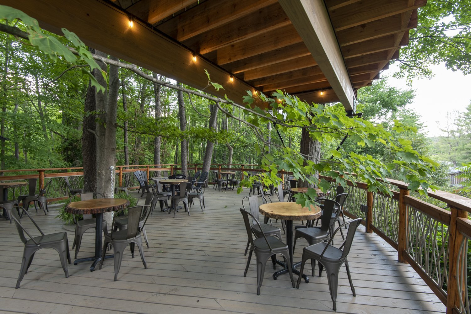 Treehouse Cafe Seating