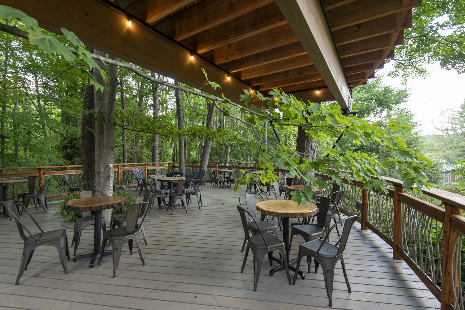 Treehouse Cafe — Blueberry Treehouse Farm