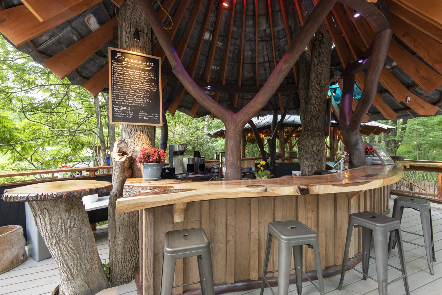 Treehouse Cafe bar