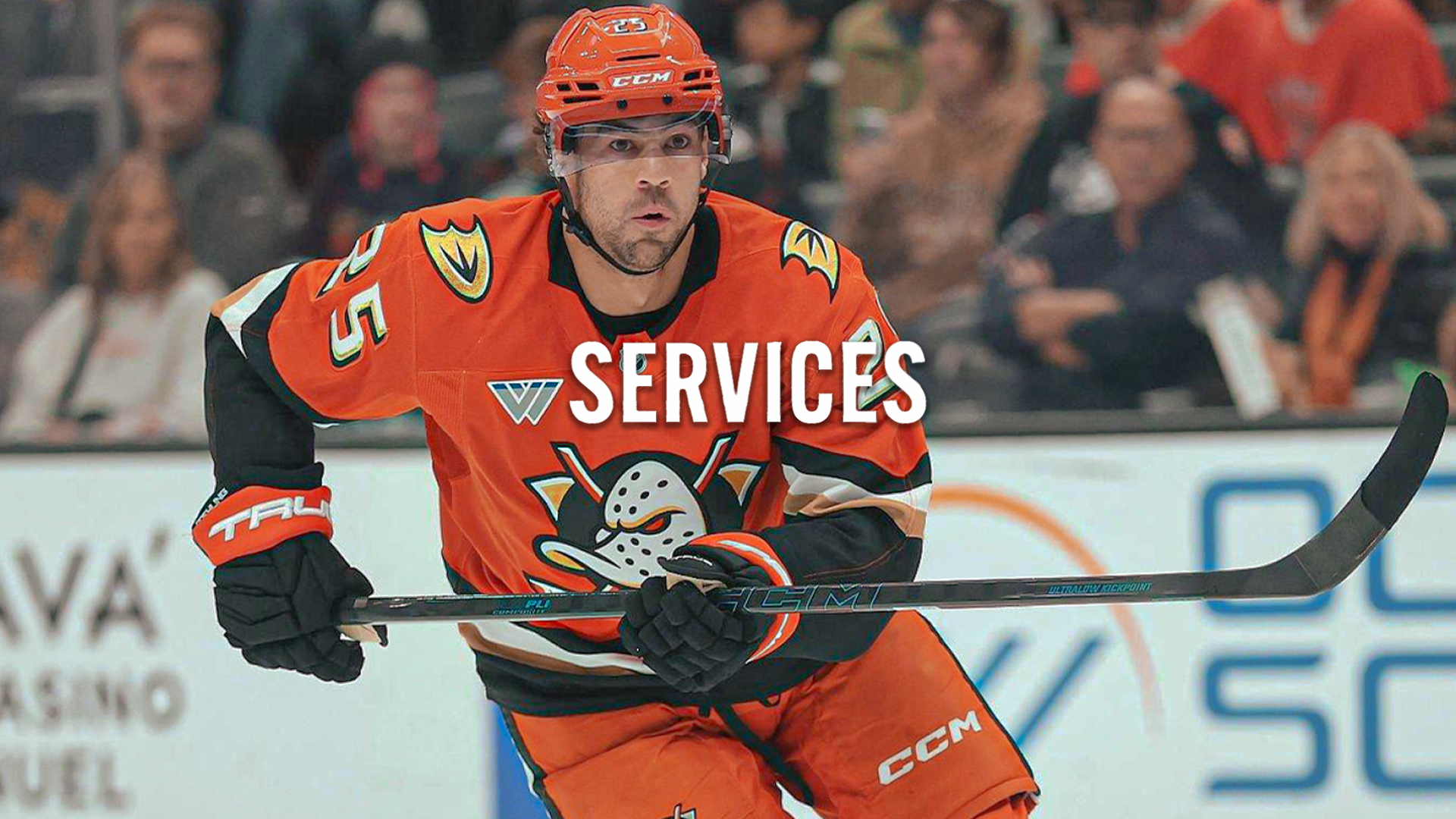 Web page - Services.png