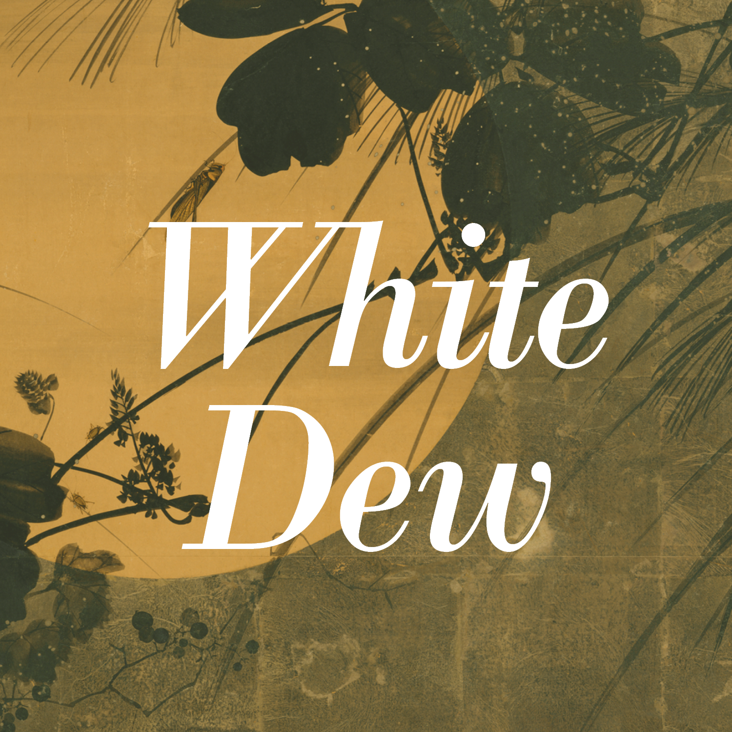 White Dew