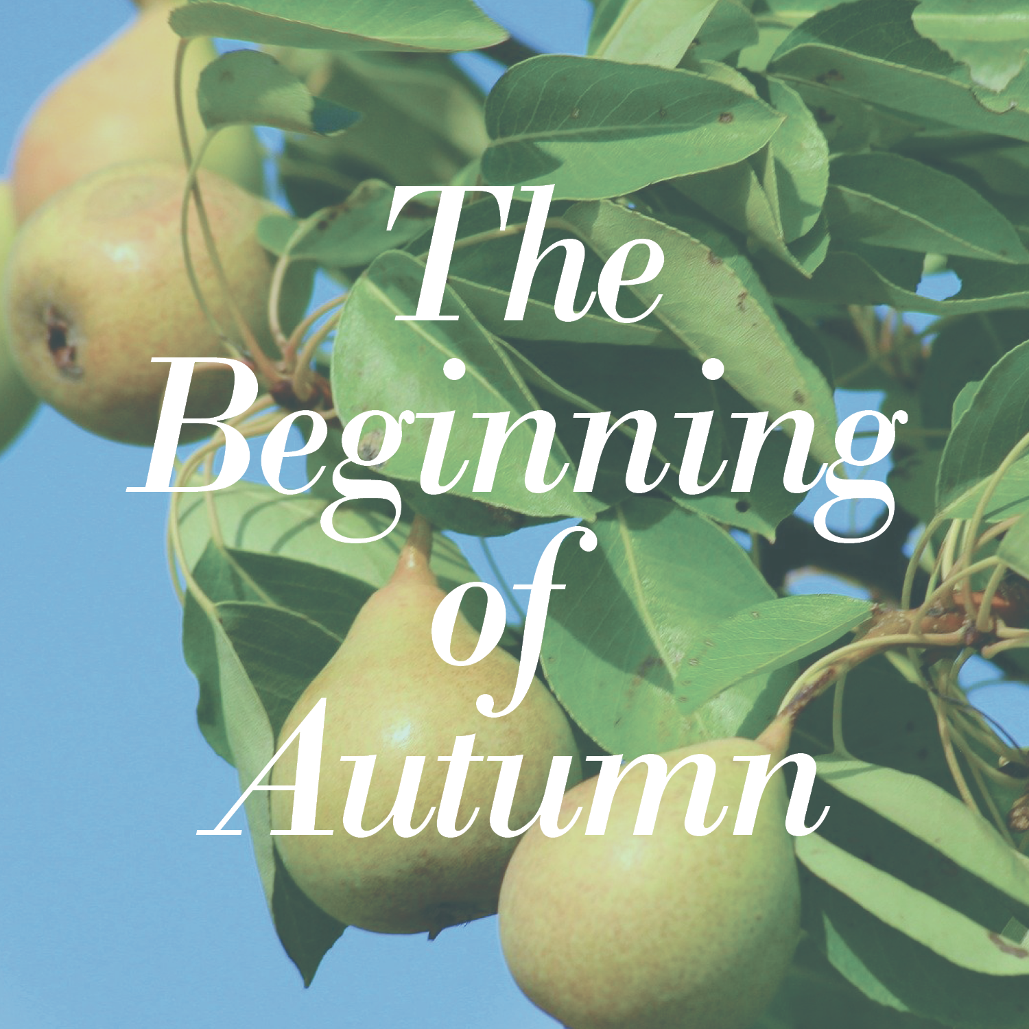 The Beginning of Autumn