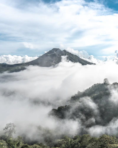 Spring mists 