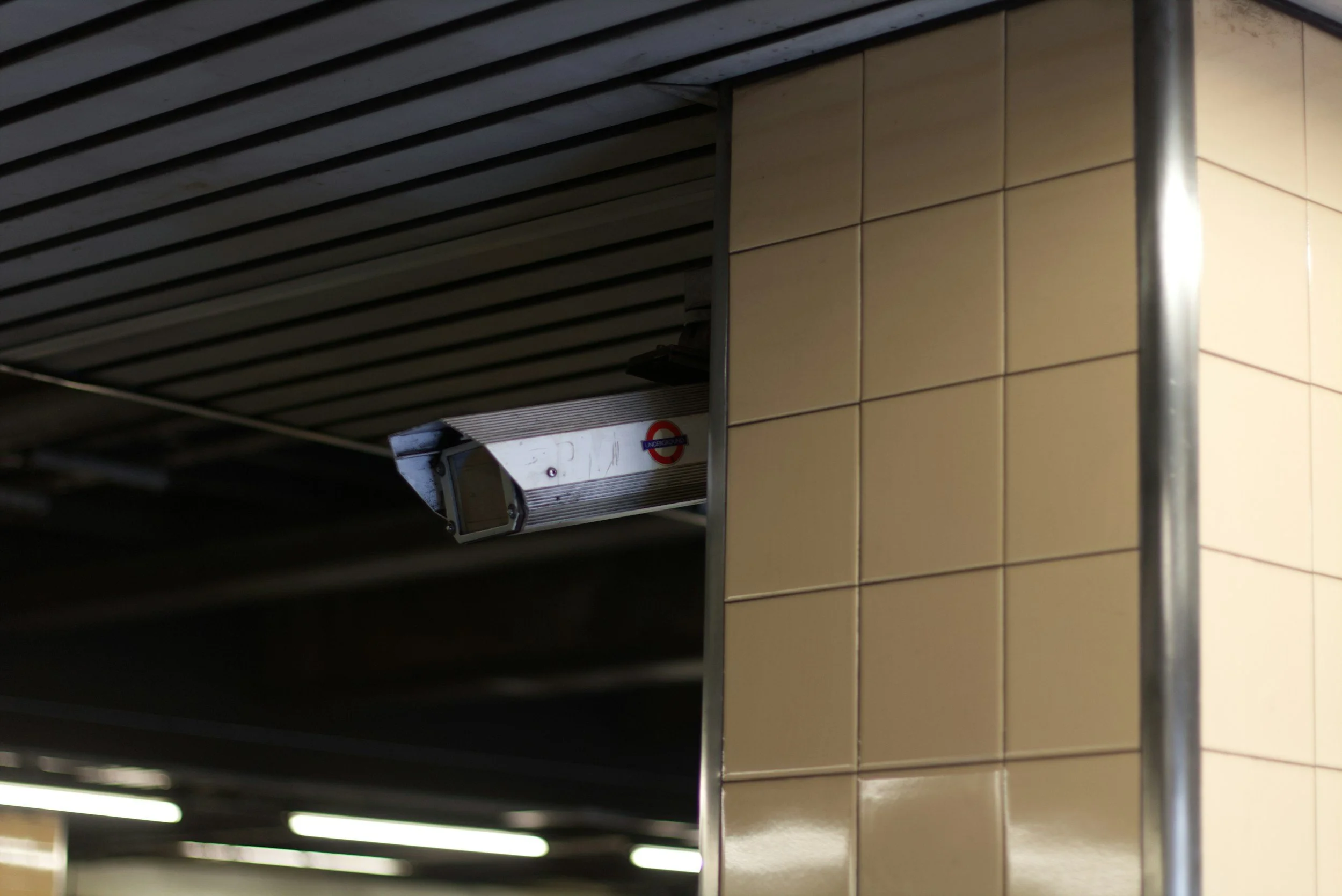 Public Safety, Policing, and Everyday Risk in the United States