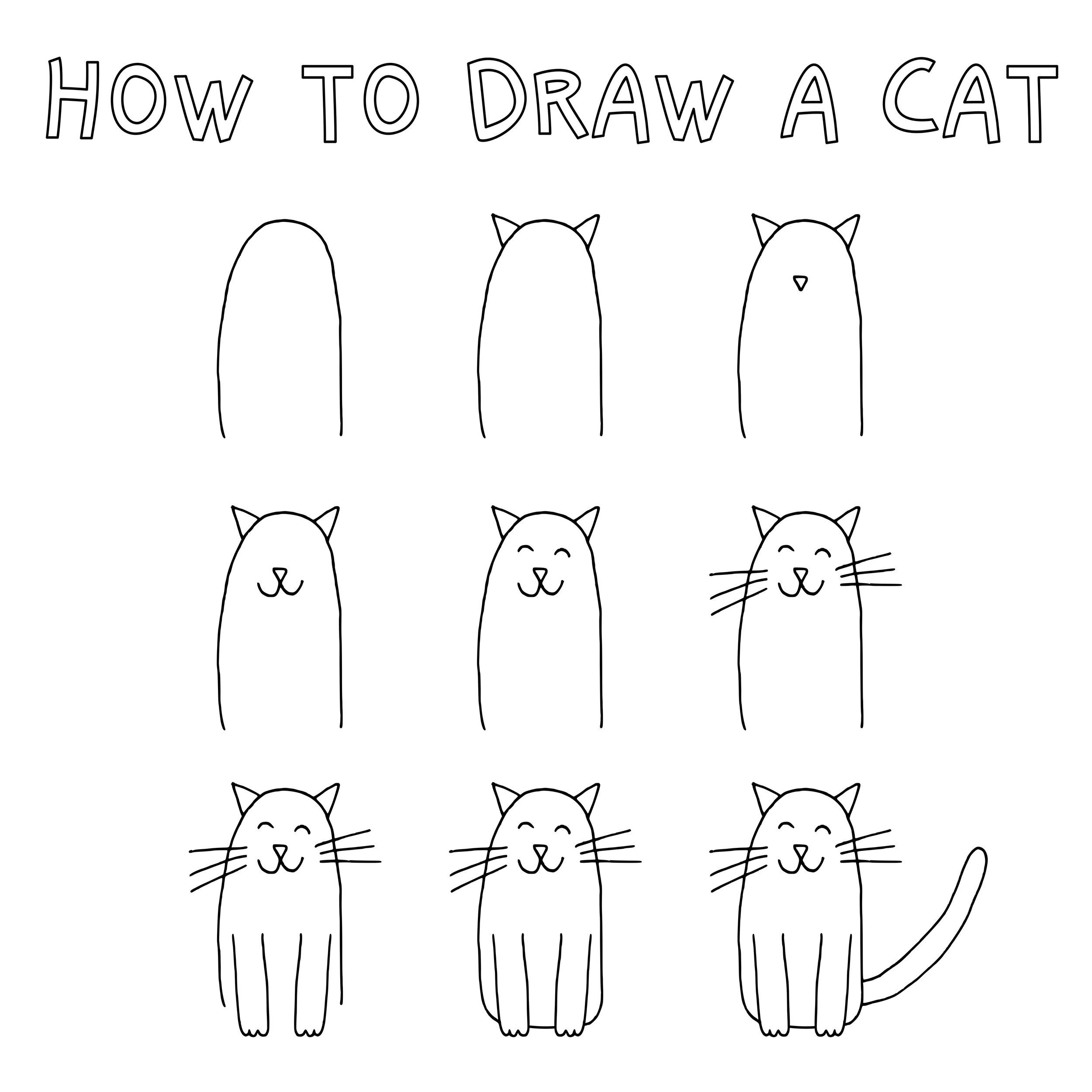 easy to draw cat.jpeg