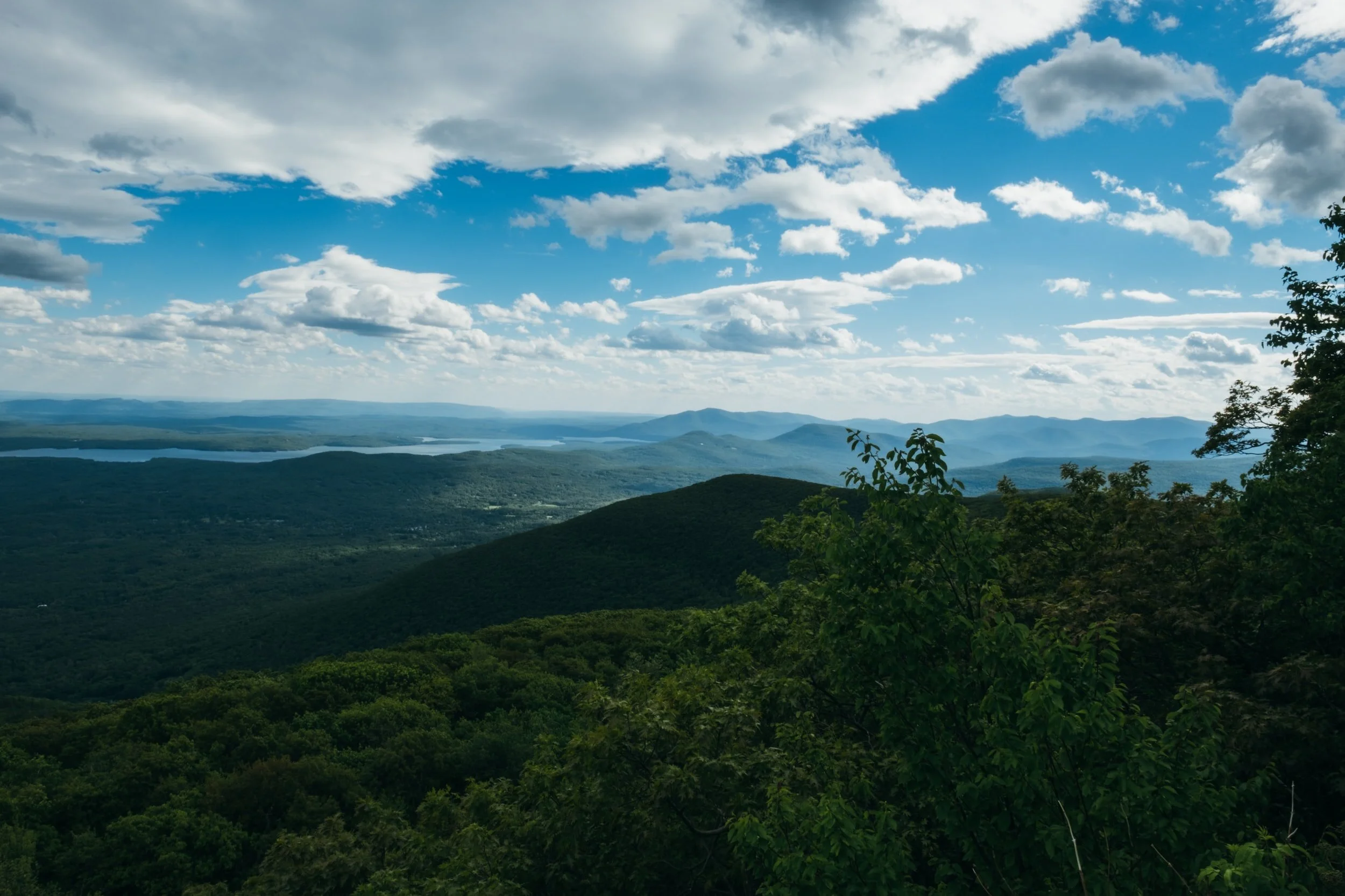 Avoiding Lyme Upstate