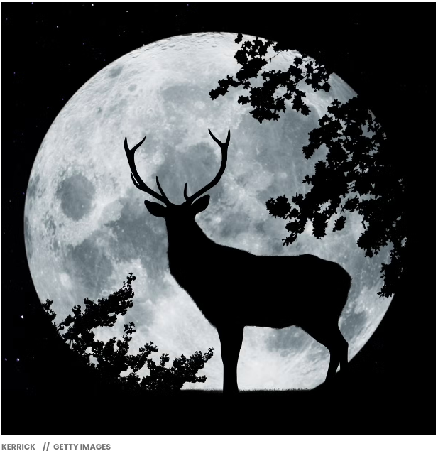 Buck Moon
