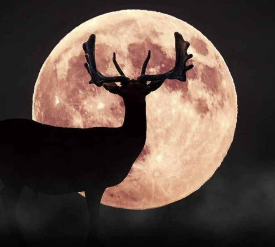 Buck Moon 2026