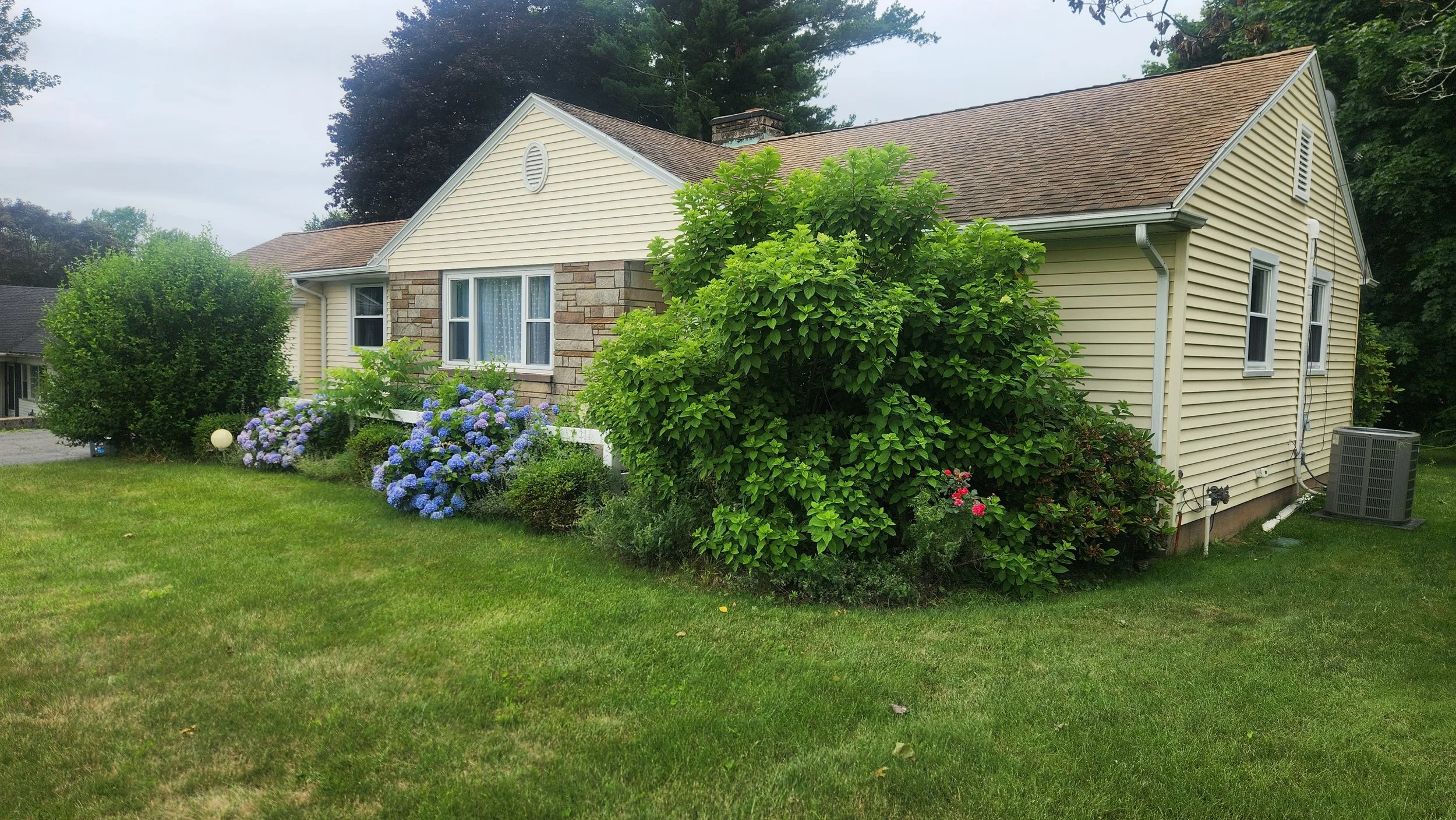 Portland Before .jpg