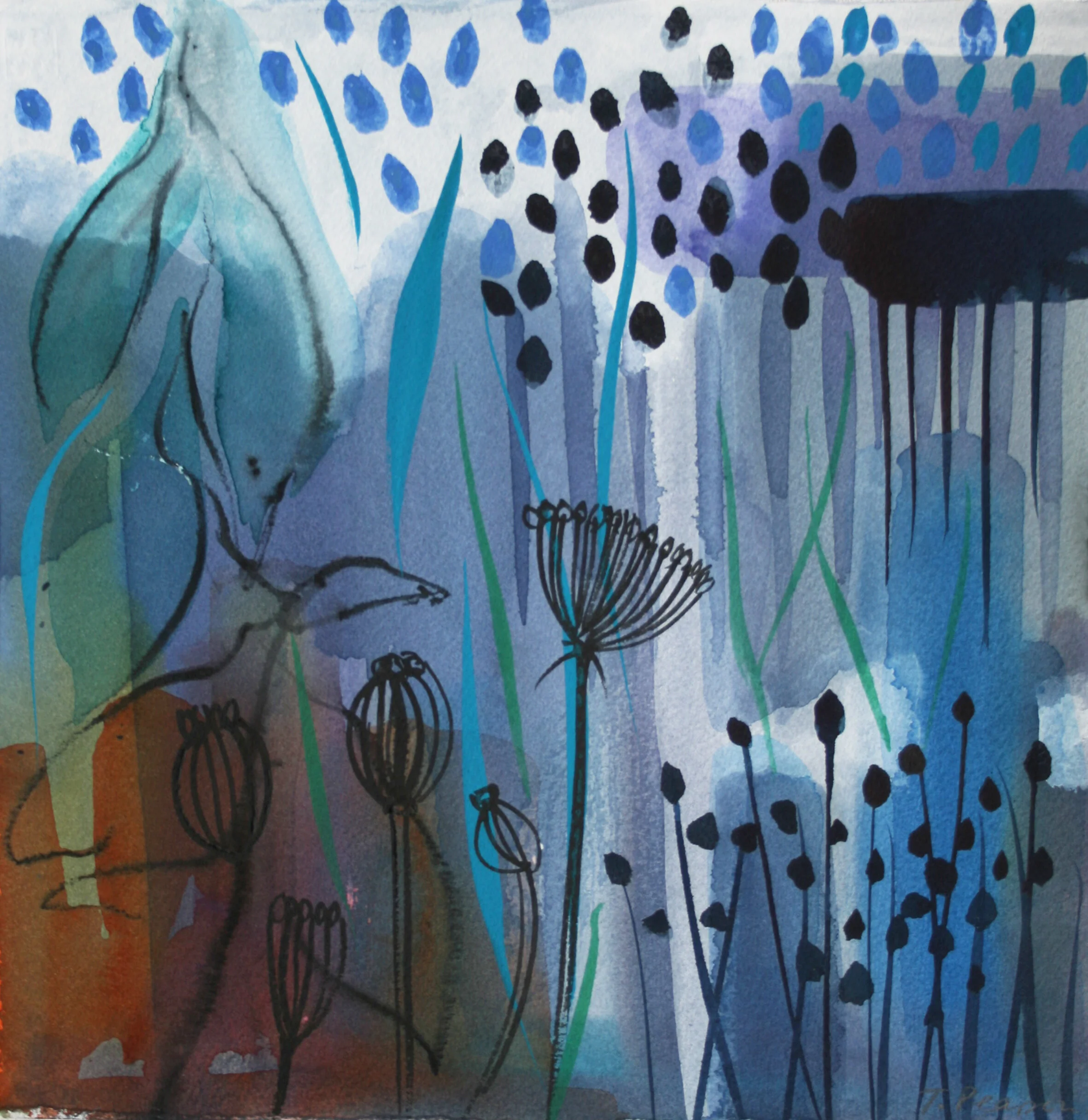Blue Fennel Seedhead Garden 30x30cm watercolour SOLD.jpg