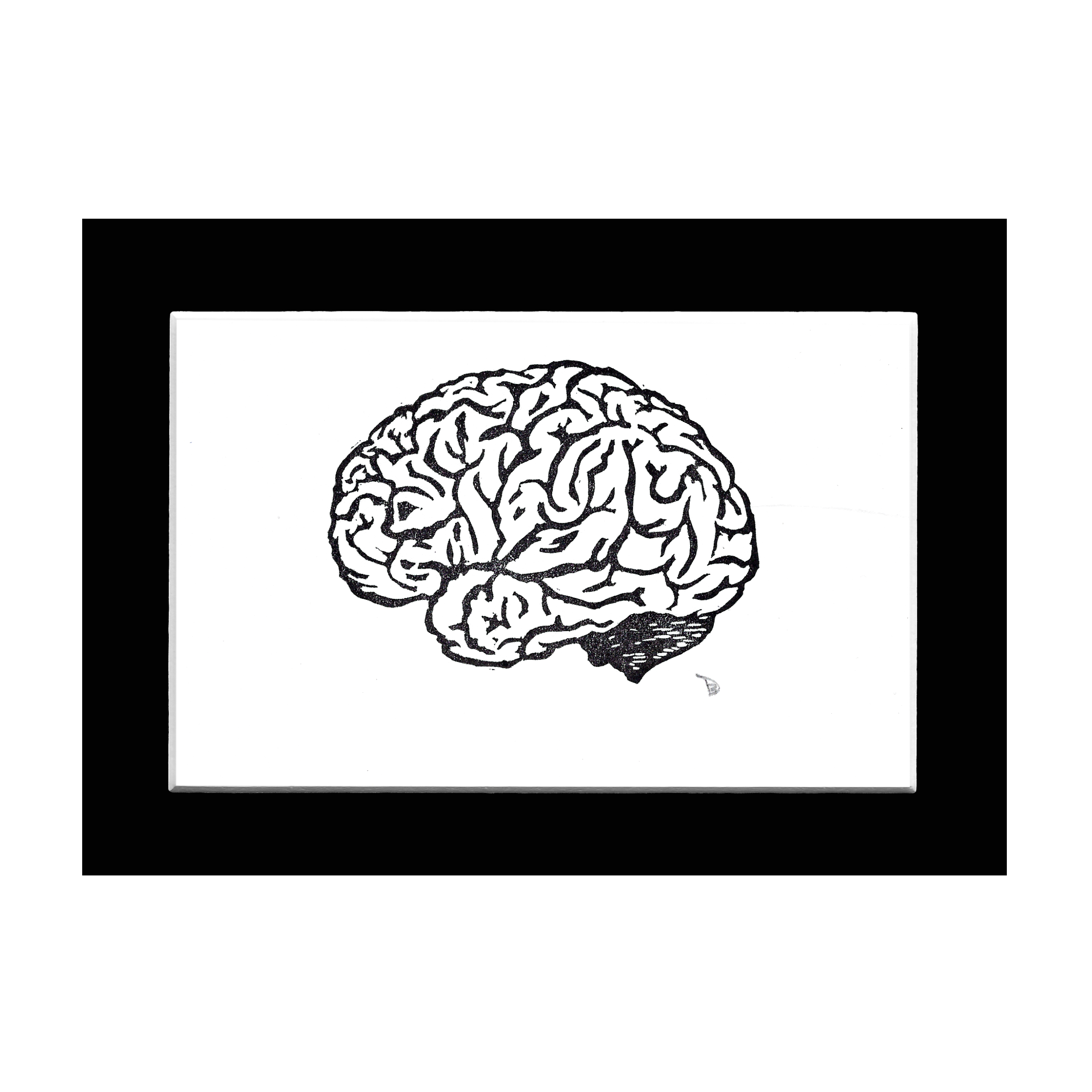 Brain Outline Black And White