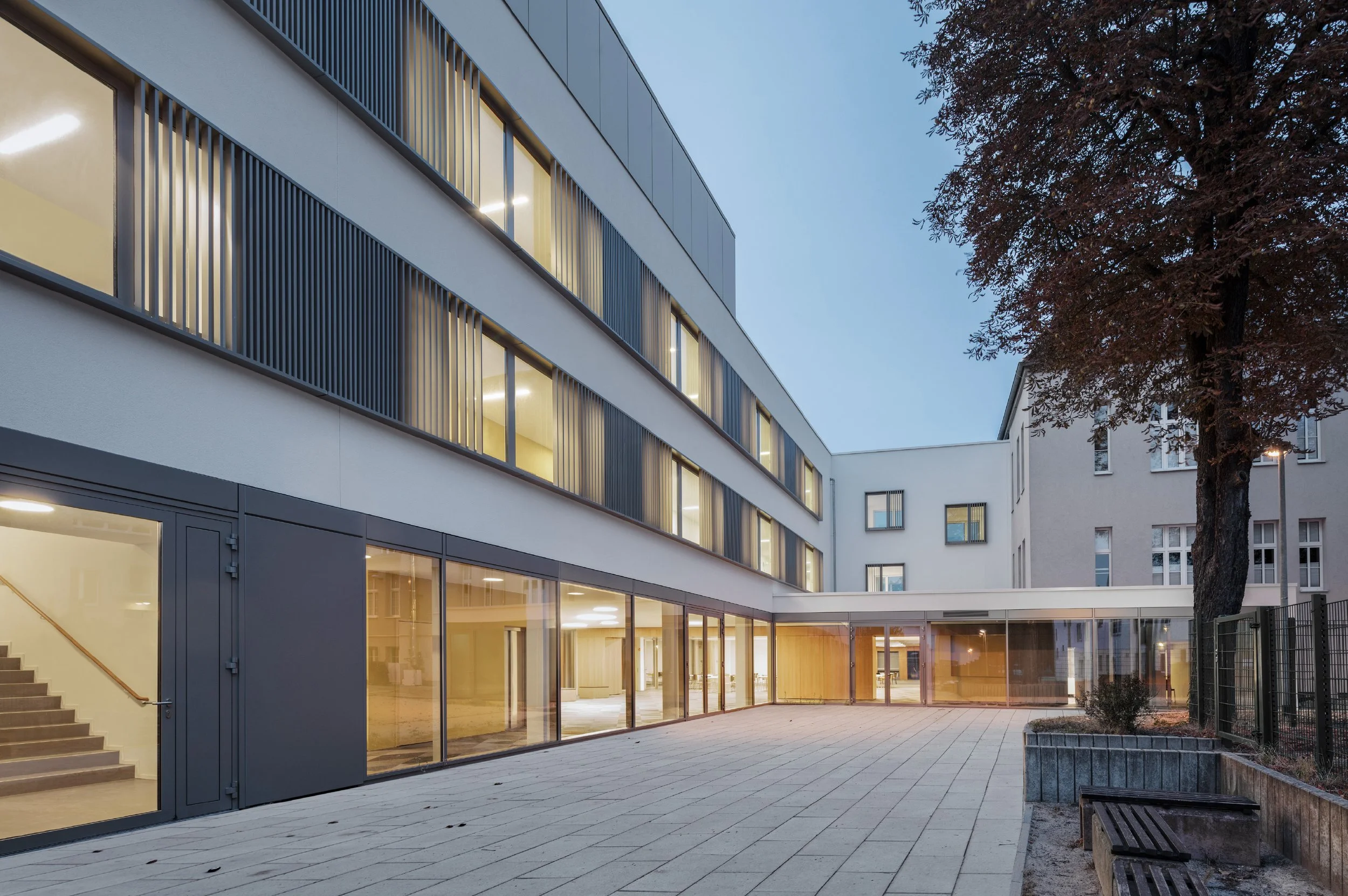 Lingens-Baumanagement_Einstein-Gymnasium-Neuenhagen-Berlin_02.jpg