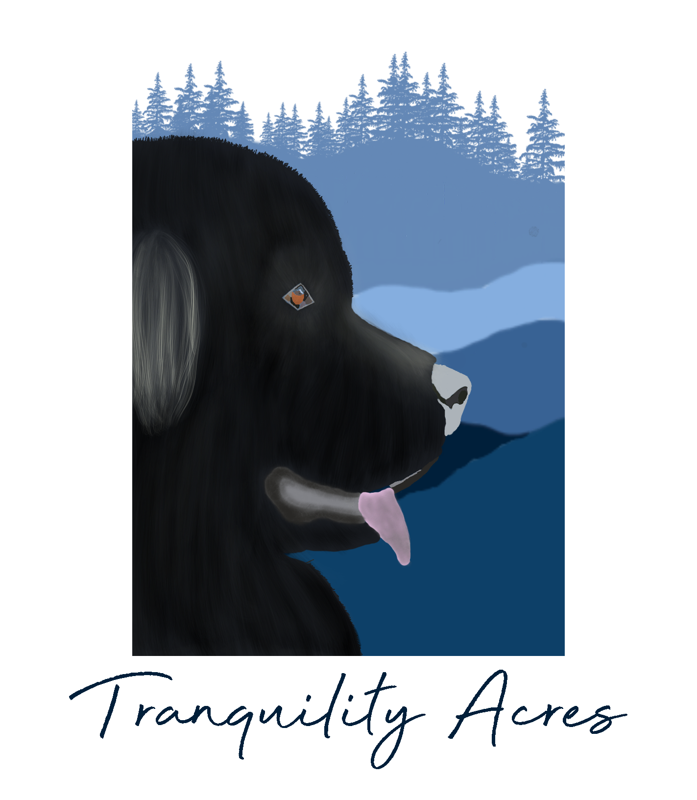 Tranquility Acres 
