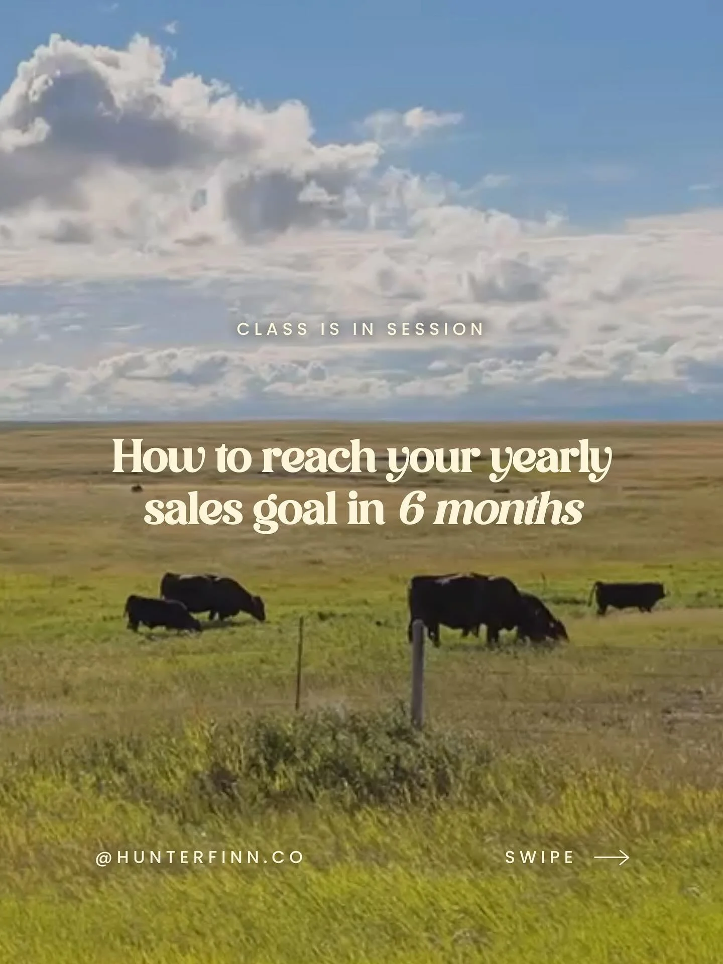 It&rsquo;s pretty rad what happens when marketing 🤝 data 

For this strategy session we looked at: 

- Average order value (AOV) 
- Average order/customer 
- Revenue by month
- Highest AOV locations 
- Customer lifetime value (LTV) 

If you&rsquo;re