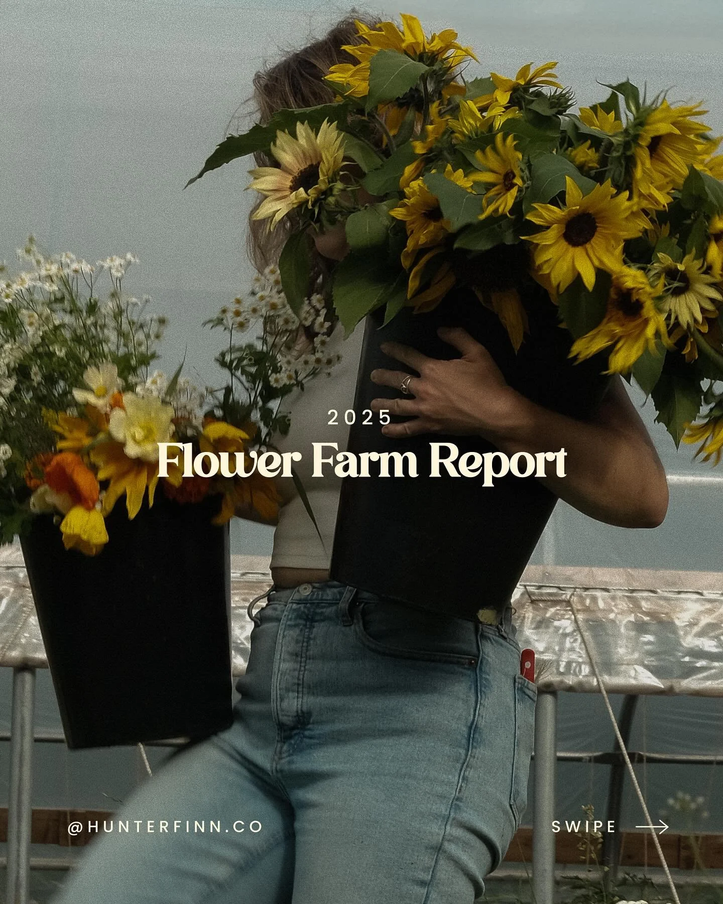 Not to alarm you, but there are only 6 Mondays left in 2025 (not counting today) 

Nothing like the looming new year to get us all feeling a little squirrely 🐿️

But seriously, no need to panic! 

You just need some data! 

And I know what they say 