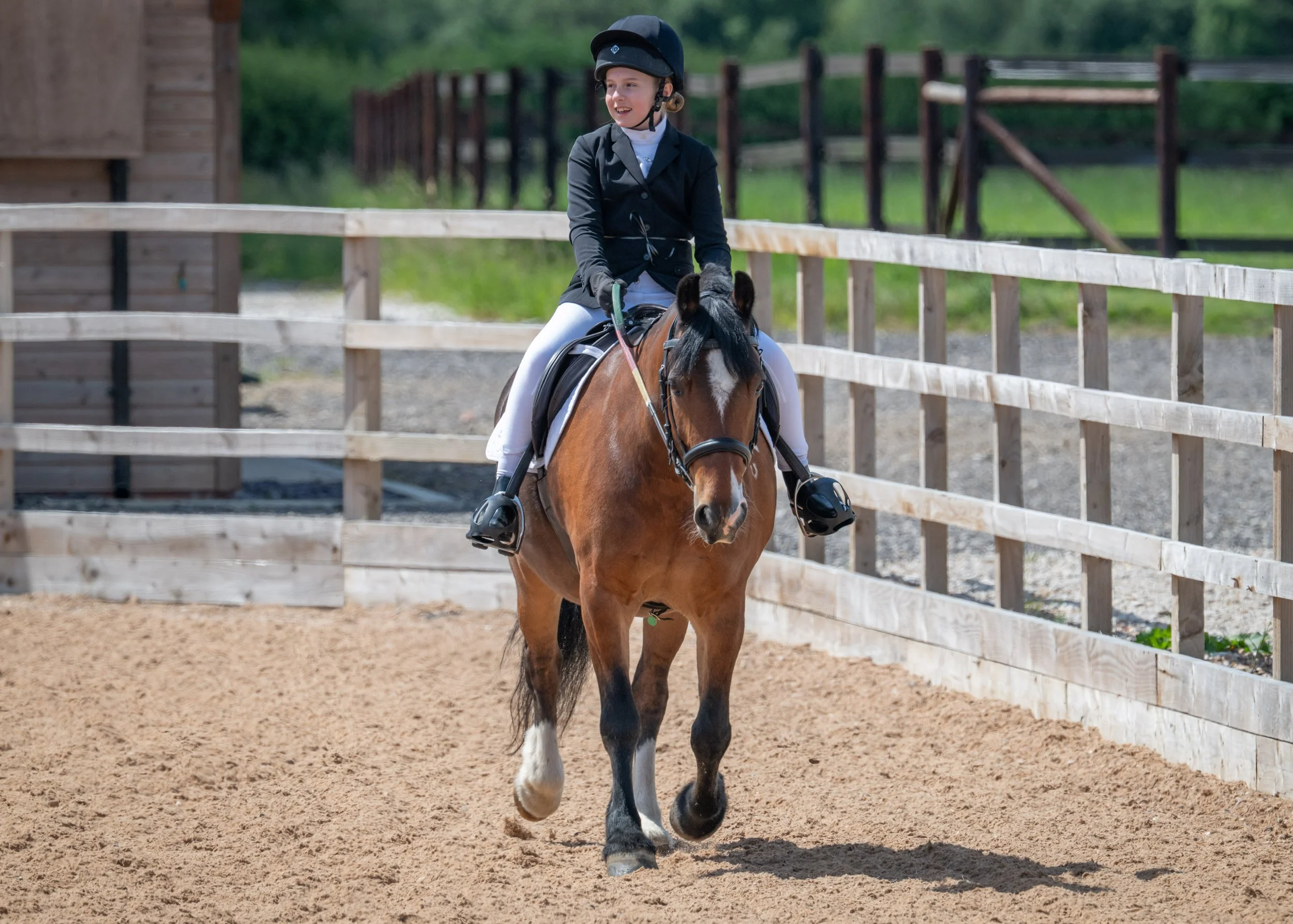 Regional Dressage Qualifiers 2026