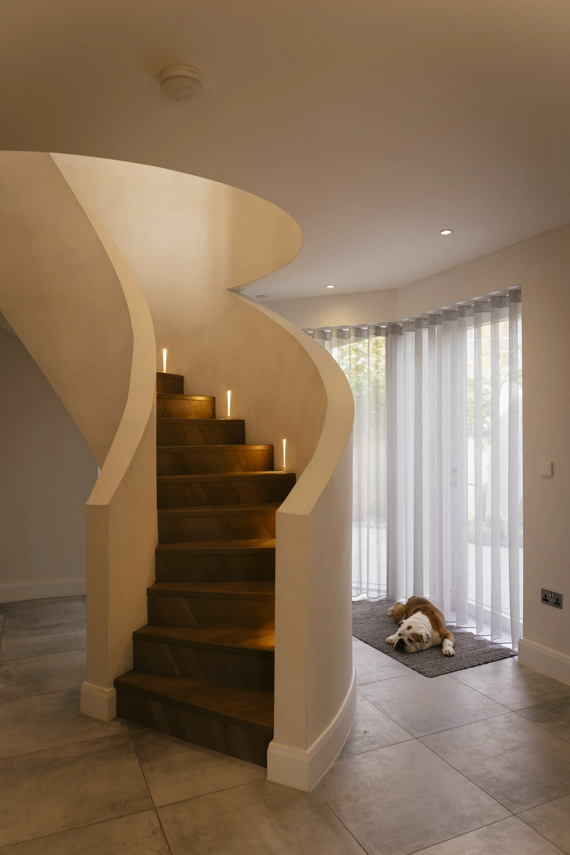 dog by the stairs.jpg