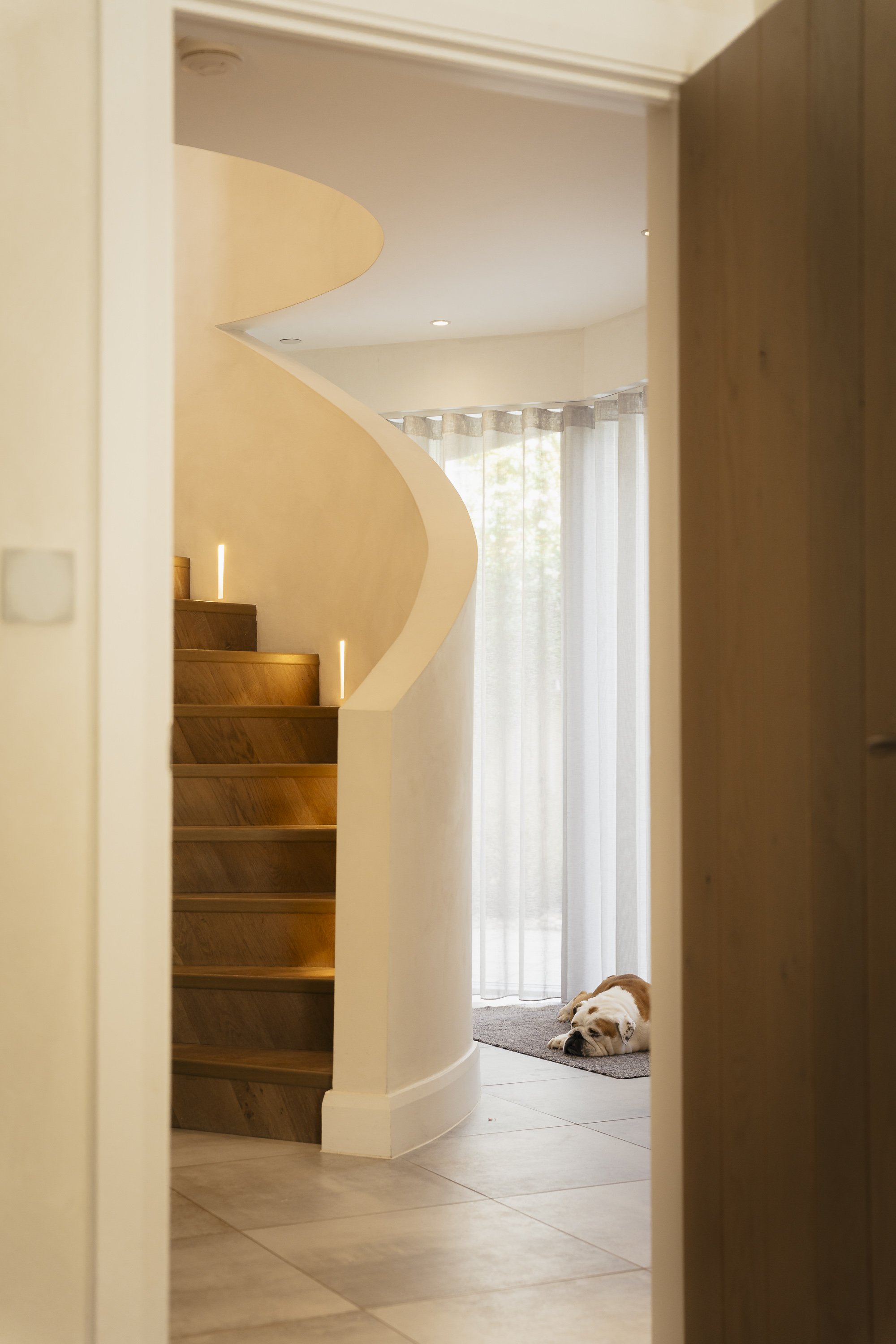 dog bottom of stairs.jpg