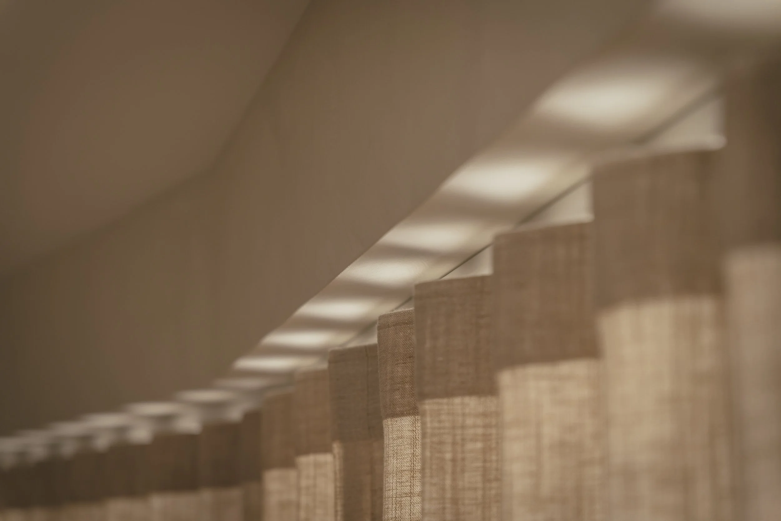 close up of voile head with light .jpg