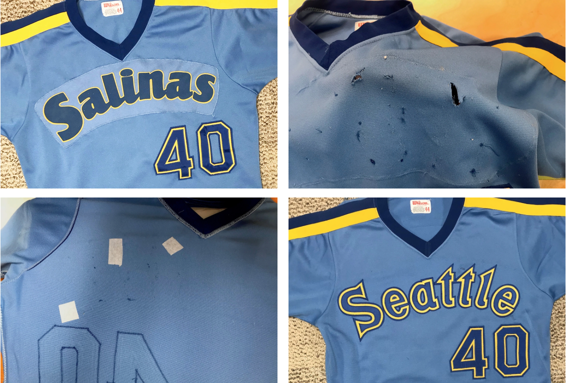 Risks and Limitations.png