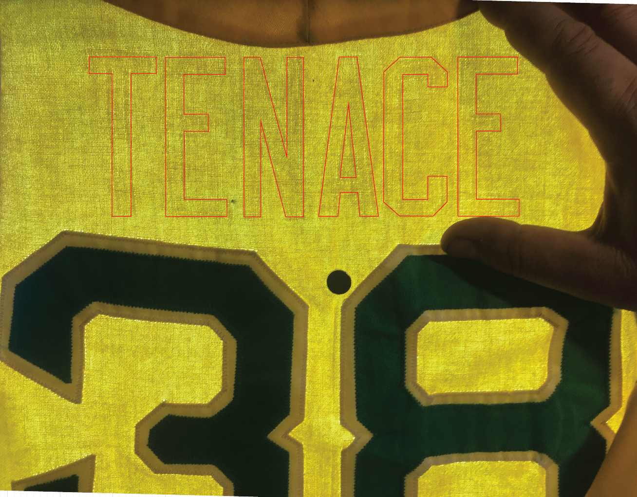 (We've digitally outlined the lettering so you can see it better.)