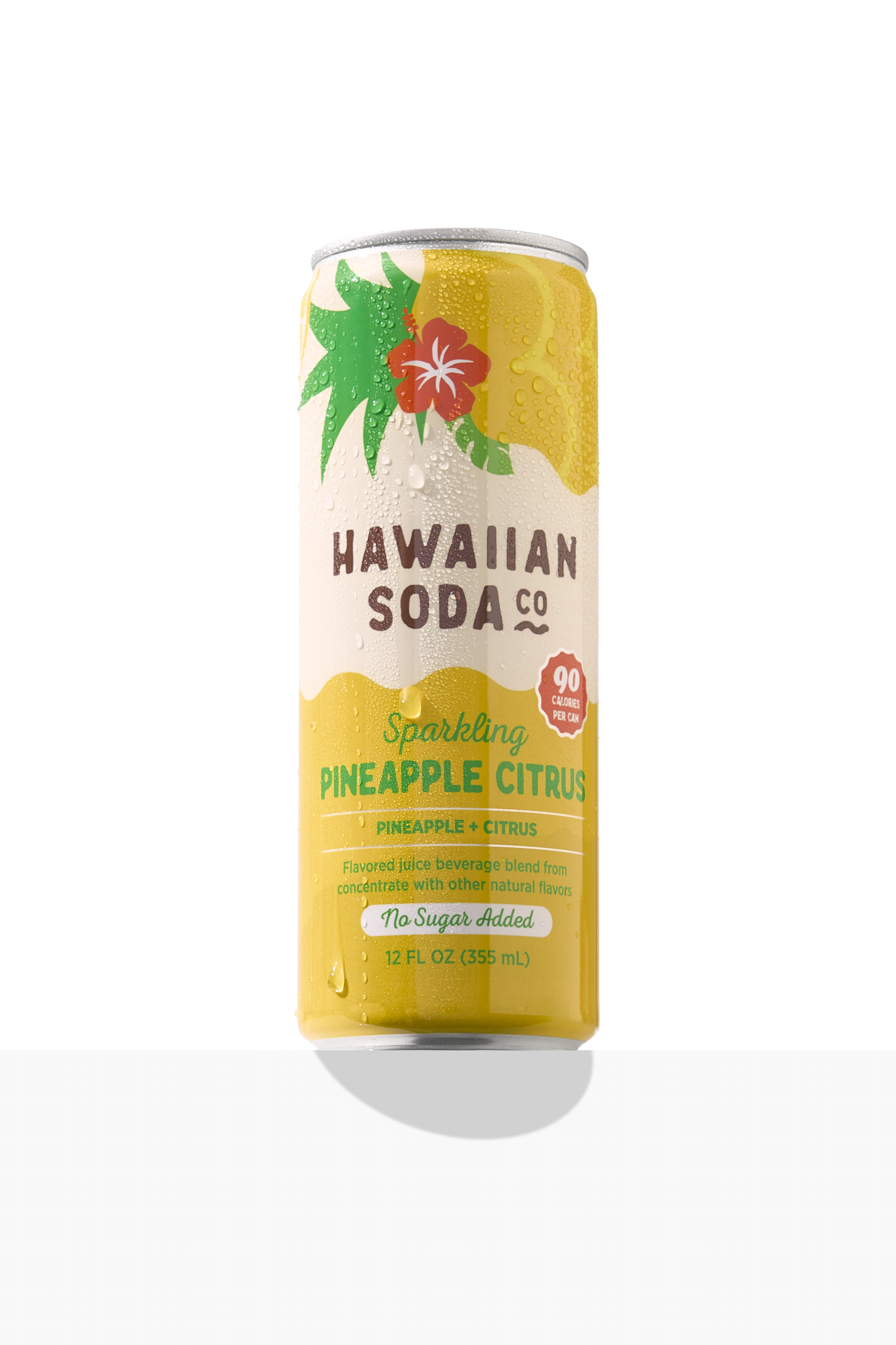 20241105-Hawaiian Soda Co-White hero images_Sean Misa-MisaHungry Media_websafe_003.png