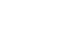 SkinnyDipped Logo White
